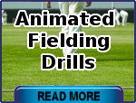 Animated Fielding Drills