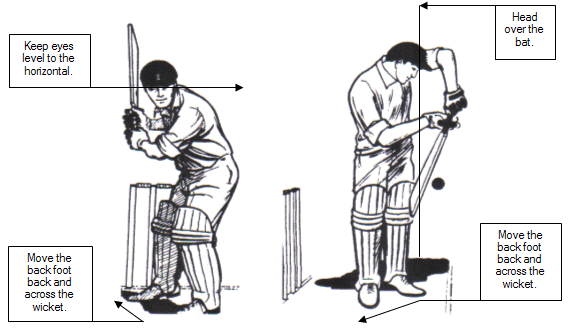 cricket ball swing. Note the high ackswing and