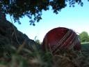 cricketball.jpg